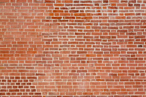 Brick Wall Installation in Dunedin