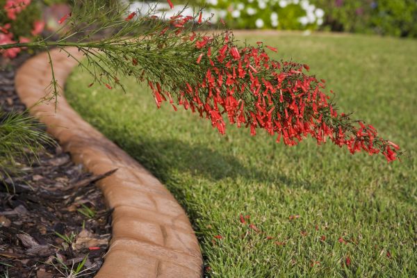 Brick Edging in Dunedin