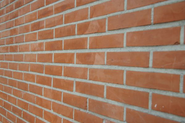 Wall Repointing in Dunedin