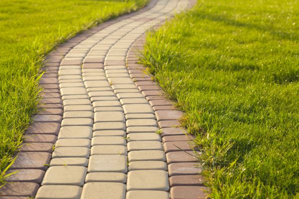 Sidewalk Brick Repair in Dunedin