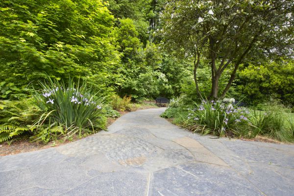 Stone Hardscape Service in Dunedin